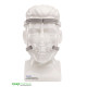 Philips Pico Nasal CPAP Mask Philips Pico Nasal CPAP Mask