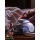 Transcend Heated Humidifier