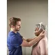 Philips Respironics DreamWear Silikon Burun Yastıkçığı CPAP Maskesi Philips Respironics DreamWear Silikon Burun Yastıkçığı CPAP Maskesi